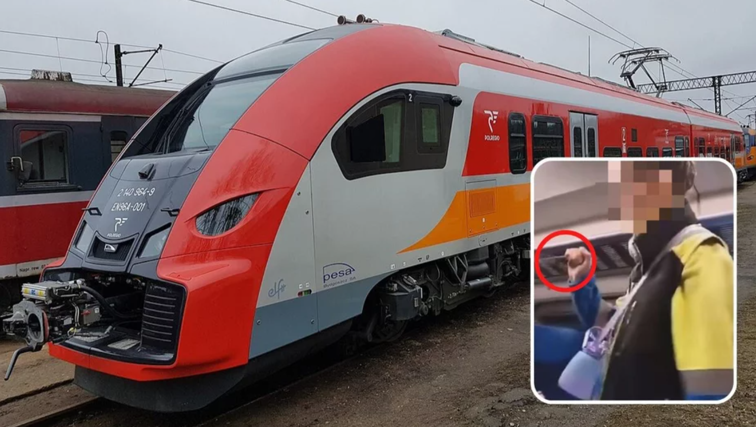 Заспівала гімн, а потім дістала ножа: українка влаштувала скандал у польському поїзді (відео)