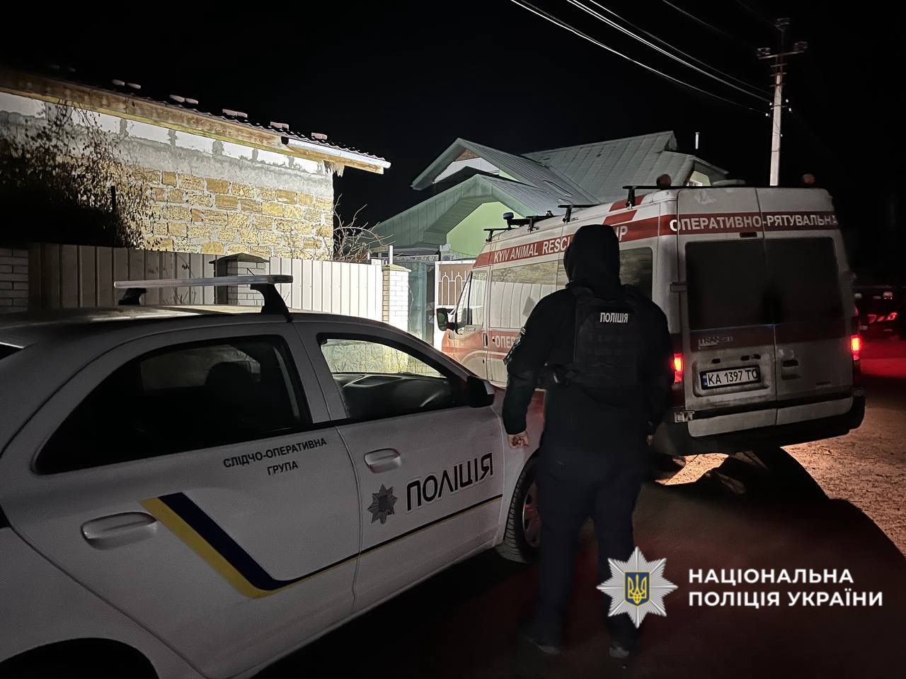 Освенцим для тварин: на Київщині "волонтерка" закатувала пів сотні чотирилапих, вмирали від хвороб і голоду