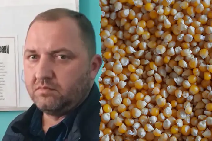 Піраміда на зерновому ринку України. «Главком» оприлюднив ексклюзивні подробиці скандальної справи - Підозра